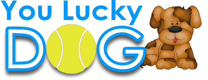 you lucky dog daycare